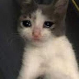 Meet your Posher, Brennen